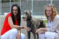 Gucci_Gallardo_Greyhound_Park_Motol_Racing_IMG_1773.JPG