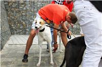 Louis_Gallardo_Greyhound_Park_Motol_Racing_IMG_1524.JPG