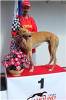 Moet_Gallardo_Greyhound_Park_Motol_Racing_IMG_1322.JPG