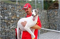 White_Gallardo_Greyhound_Park_Motol_Racing_IMG_1500.JPG