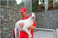 White_Gallardo_Greyhound_Park_Motol_Racing_IMG_1501.jpg