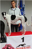 Winners_Greyhound_Park_Motol_CGDF_IMG_2322.JPG