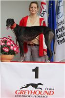 Winners_Greyhound_Park_Motol_CGDF_IMG_2361.jpg