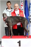 Winners_Greyhound_Park_Motol_CGDF_IMG_2461.jpg