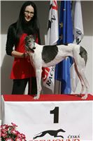 Winners_Greyhound_Park_Motol_CGDF_NQ1M0156.JPG