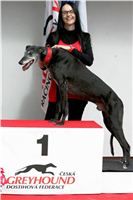 Winners_Greyhound_Park_Motol_CGDF_NQ1M0169.JPG