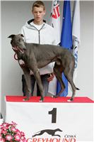 Winners_Greyhound_Park_Motol_CGDF_NQ1M0182.JPG