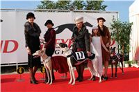 Dostihy_chrtů_Czech_Greyhound_Racing_Federation_DSC00183.JPG