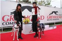 Dostihy_chrtů_Czech_Greyhound_Racing_Federation_DSC05589.JPG