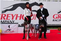 Dostihy_chrtů_Czech_Greyhound_Racing_Federation_DSC05721.JPG