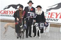 Greyhound_Race_Track_Praskacka_European_Breeders_Cup_2005_Czech_Greyhound_Racing_Federation.jpg