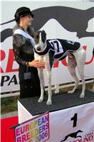 Miss_Greyhound_Czech_Greyhound_Racing_Federation_P9300065.jpg