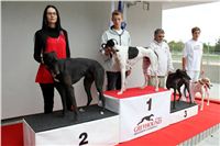 Greyhound_racing_GP_Motol_Prague_CGDF_IMG_2320.JPG