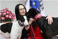 Greyhound_racing_GP_Motol_Prague_CGDF_IMG_2346.JPG