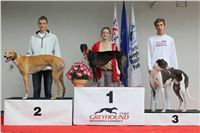 Greyhound_racing_GP_Motol_Prague_CGDF_IMG_2356.JPG