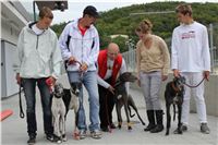 Greyhound_racing_GP_Motol_Prague_CGDF_IMG_2386.JPG