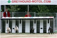 Greyhound_racing_GP_Motol_Prague_CGDF_NQ1M0014.JPG