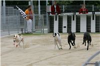 Greyhound_racing_GP_Motol_Prague_CGDF_NQ1M0018.JPG