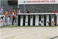Greyhound_racing_GP_Motol_Prague_CGDF_NQ1M0070.JPG