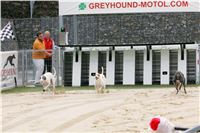 Greyhound_racing_GP_Motol_Prague_CGDF_NQ1M0198.JPG