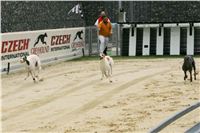 Greyhound_racing_GP_Motol_Prague_CGDF_NQ1M0201.JPG