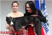 KENZO_Greyhound_Park_Motol_CGDF_IMG_2477.JPG