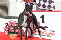 NewMac_Dior_Greyhound_Park_Motol_IMG_2748.jpg