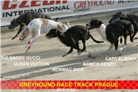 Chrti_rekordmani_Greyhound_Park_Motol_CGDF_5.jpg