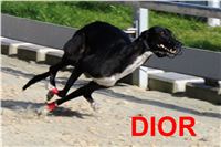 Race_track_record_sprint_Greyhound_Park_Motol_IMG_3075.jpg