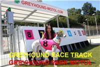 Pink_greyhound_model_CHANEL_Czech_Greyhound_Race_Track_Prague.jpg