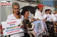 White-Winner_European_Breeders_Cup_08_Race_Track_Praskacka.JPG White-Winner_European_Breeders_Cup_08_Race_Track_Praskacka.jpg