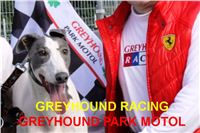 Winner_Greyhound_White_Elbony_Czech_Greyhound_Racing_Federation.jpg Winner_Greyhound_White_Elbony_Czech_Greyhound_Racing_Federation.jpg