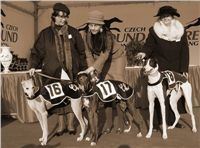 European_Breeders_Cup_2007_Czech_Greyhound_Racing_Federation_pani_doktorova.jpg