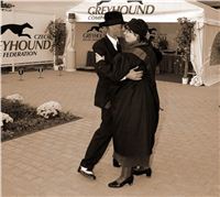 Nejkrasnejsi_dama_a_pan_s_chrtem_styl_30._let_Czech_Greyhound_Racing_Federation_2005_DSC_0541.JPG