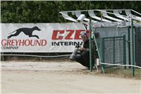 Photographer_Czech_Greyhound_Racing_Federation_NQ1M0548.JPG