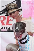 Greyhound_CHANEL_and_owner_Czech_Greyhound_Racing_Federation.jpg