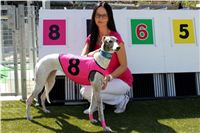 Pink_greyhound_model_CHANEL_Czech_Greyhound_Race_Track_Prague_IMG_0630.JPG