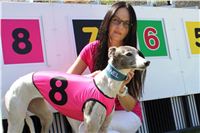Pink_greyhound_model_CHANEL_Czech_Greyhound_Race_Track_Prague_IMG_0633_v.JPG