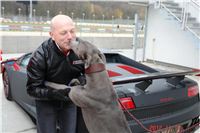 Greyhound_Park_Motol_Prague_Racing_DSC04961.JPG