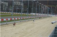Greyhound_Park_Motol_Prague_Racing_DSC04994.JPG