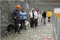 Greyhound_Park_Motol_Prague_Racing_DSC05029.JPG