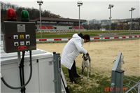 Greyhound_Park_Motol_Prague_Racing_DSC05049.JPG