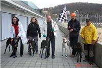 Greyhound_Park_Motol_Prague_Racing_DSC05084.JPG