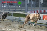 Greyhound_Racing_Prague_CGDF_NQ1M0048.jpg