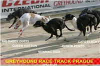Greyhound_Racing_Prague_CGDF_NQ1M0080.jpg