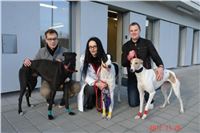 10-Greyhound_Race_Track_Prague_DSC05269.JPG