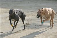 19-Greyhound_Race_Track_Prague_NQ1M0039.JPG