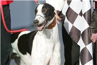 30-Greyhound_Race_Track_Prague_NQ1M0117.JPG