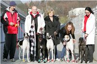 32-Greyhound_Race_Track_Prague_NQ1M0118.JPG
