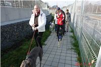 4-Greyhound_Race_Track_Prague_DSC05239.JPG